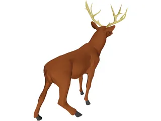 Deer Mule 3D Model
