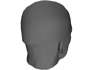 Male Adult Head 3D Model
