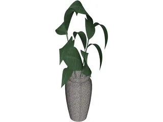 Ficus 3D Model