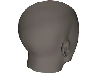 Head Human 3D Model