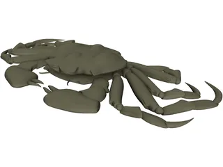 Chinese Mitten Crab 3D Model
