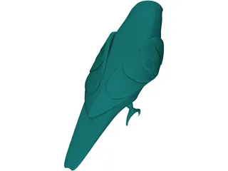 Parakeet 3D Model