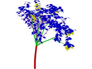 Apricot Tree 3D Model