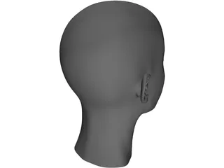 Head 3D Model