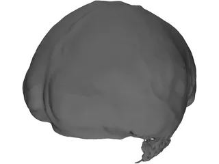 Brain 3D Model