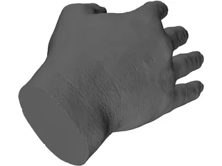 Right Hand Male 3D Model