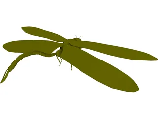 Dragon Fly 3D Model
