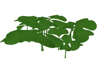 Clover Patch 3D Model