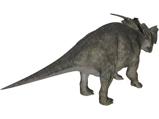 Achelousaurus 3D Model