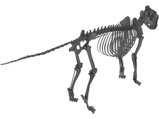 Lion Skeleton 3D Model