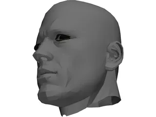Male Adult Head 3D Model