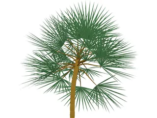 Palm 3D Model