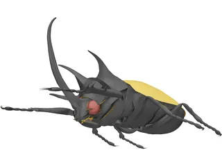 Beetle 3D Model