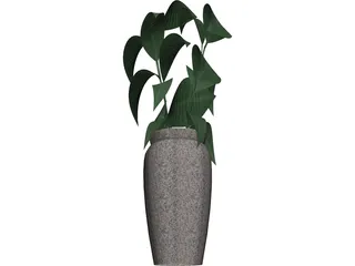 Ficus 3D Model