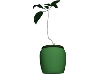 Plant 3D Model