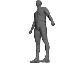 Human 3D Model