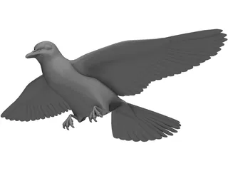 Dove 3D Model