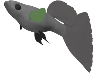 Guppy 3D Model