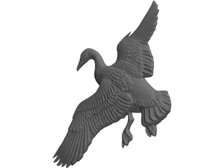 Canadian Goose 3D Model