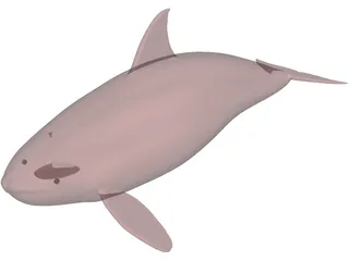 Whale Killer Female 3D Model