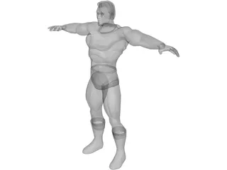 Hero 3D Model