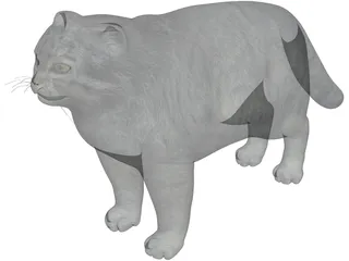 Pallas Cat 3D Model