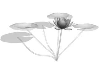 Lilly Water 3D Model