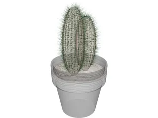 Cactus 3D Model