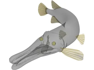 Alligator Gar (Atractosteus Spatula) 3D Model
