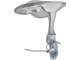 Ear Cutaway 3D Model