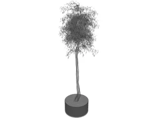 Arbol Tree 3D Model