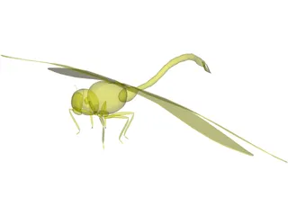 Dragon Fly 3D Model