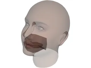 Woman Head 3D Model