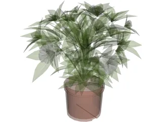 Potted Plant 3D Model