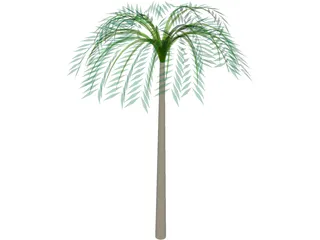 Tree Palm Tropical 3D Model