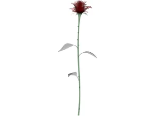 Rose 3D Model
